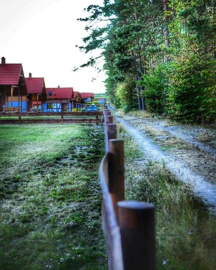 Lesna Ostoja Villa Borowy Mlyn Buitenkant foto