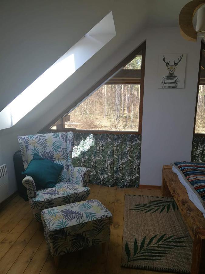 Lesna Ostoja Villa Borowy Mlyn Buitenkant foto