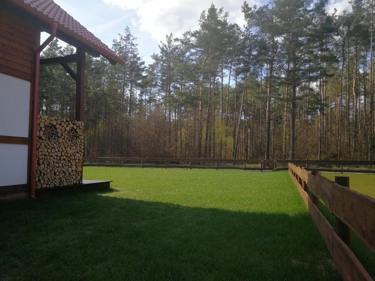 Lesna Ostoja Villa Borowy Mlyn Buitenkant foto