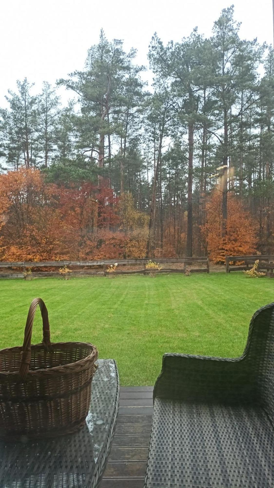 Lesna Ostoja Villa Borowy Mlyn Buitenkant foto