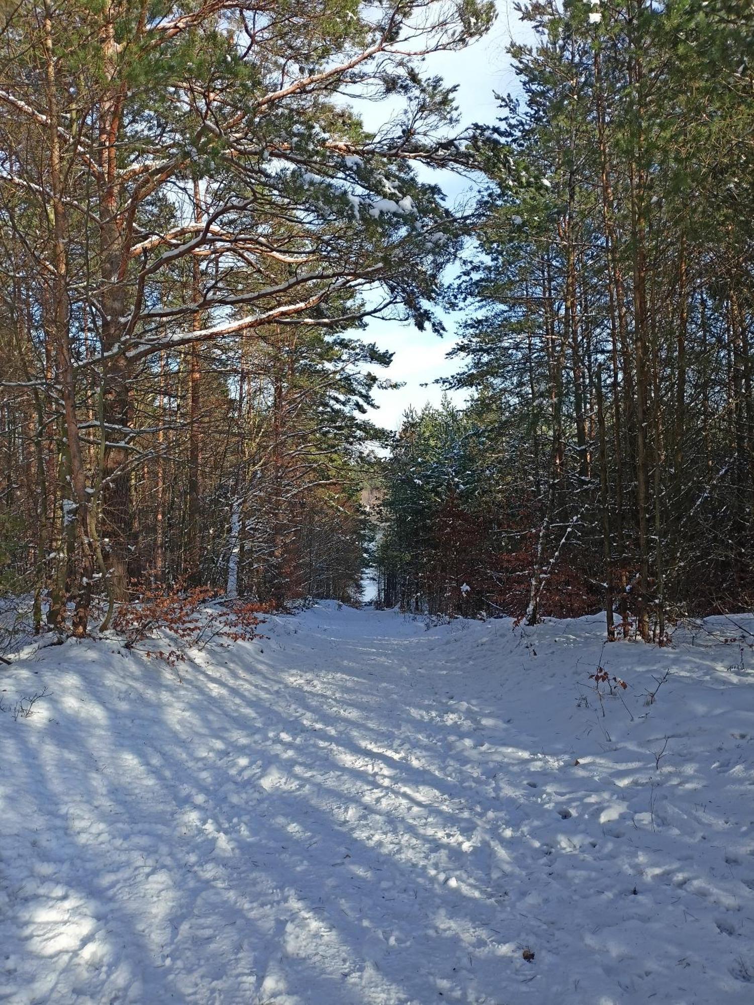 Lesna Ostoja Villa Borowy Mlyn Buitenkant foto